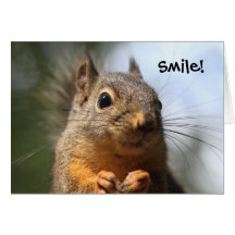 Cute Squirrel Smiling Closeup Photo Card