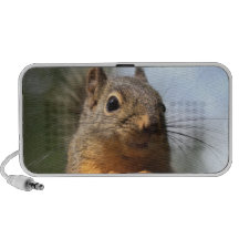 Cute Squirrel Smiling Closeup Photo iPhone Speaker