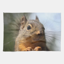 Cute Squirrel Smiling Closeup Photo Kitchen Towels