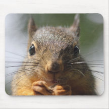 Cute Squirrel Smiling Photo Mouse Pad