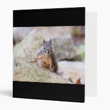 Cute Squirrel Staring Binders