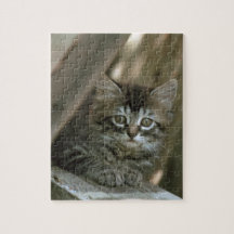 Cute Striped Tabby Kitten - Baby Animals Jigsaw Puzzles