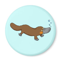 Cute swimming duck-billed platypus