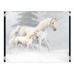 Cute Unicorns In Snow 1 Post Cards