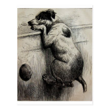 Cute Victorian antique Dog illustration Postcard