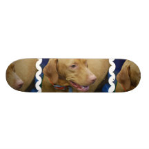 Cute Vizsla Dog Skateboard