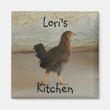 Cute wandering chicken magnet