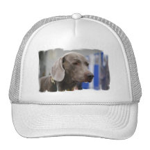 Cute Weimaraner  Baseball Hat