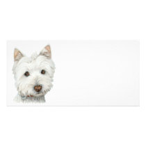 Cute Westie Dog Art Photo Card