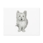 Cute Westie Dog Postcard
