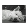 Cute Westie (West Highland Terrier) Dog Postcard
