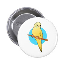 Cute Yellow Budgie Pinback Buttons