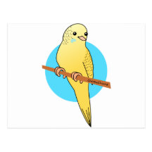 Cute Yellow Budgie Post Card