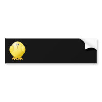 Cute Yellow Chick. Little Bird on Black. Bumper Sticker