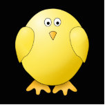 Cute Yellow Chick. Little Bird on Black. Photo Sculpture