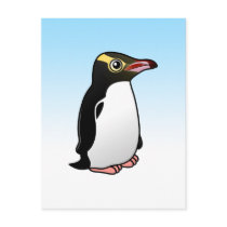 Cute Yellow-eyed Penguin Post Card
