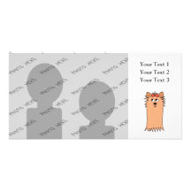 Cute Yorkshire Terrier, Dog. Photo Cards
