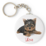 Cute Yorkshire Terrier Puppy Love Key Chain