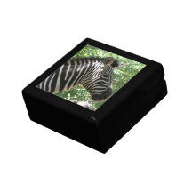 Cute Zebra  Gift Box