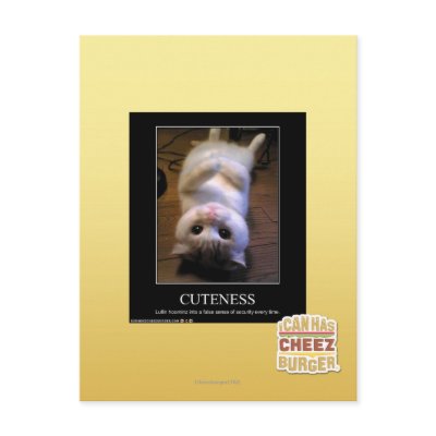 Cuteness 2 post card by icanhascheezburger