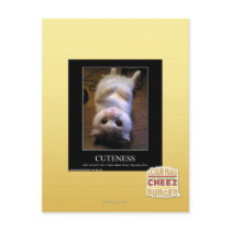 Cuteness 2 post card
