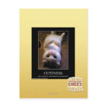 Cuteness 2 postcards