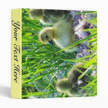 Cuteness 3 Ring Binders