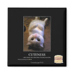 Cuteness Fridge Magnets