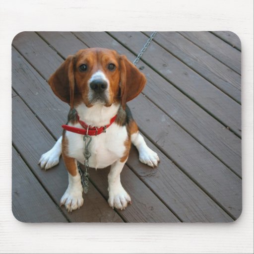Cutest Beagle Dog Ever Mousepad