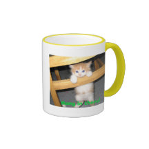 Cutest Kittens Coffee Mug