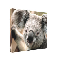 CUTEST KOALA Photograph Wrapped Canvas Wall Art Gallery Wrapped Canvas
