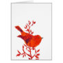 Cutest Red Bird on the planet