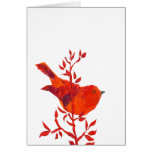 Cutest Red Bird on the planet cards