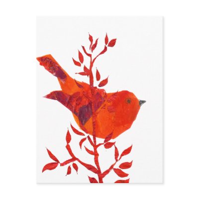 Cutest Red Bird on the planet by happytwitt