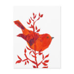 Cutest Red Bird on the planet postcards