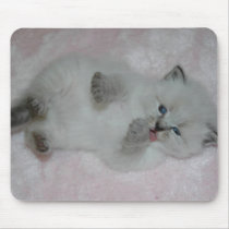 Cutest SibKitten Mousepad - Customized