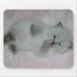 Cutest SibKitten Mousepad - Customized