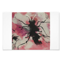 CUTIE BUG PRINT PHOTO PRINT
