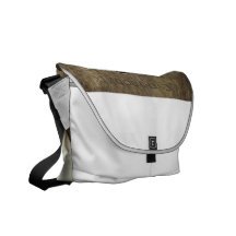 CUTIE COURIER BAG