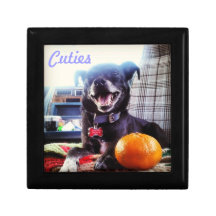 Cuties box jewelry box