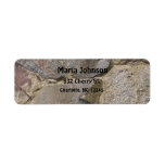 cutomizable address label