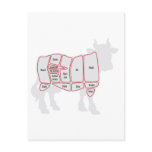 Cuts of Beef Postcards