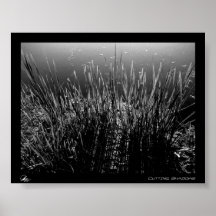 Cutting Shadows Poster