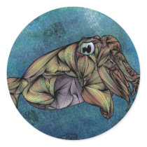 Cuttlefish Stickers