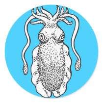 Cuttlefish