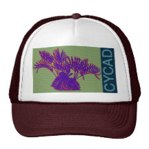 CYCAD Brand Hat