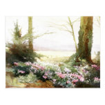 Cyclamens Postcard