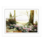 Cyclamens Postcard