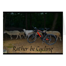 Cycling Cards