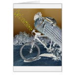 Cyclocactaceae Card